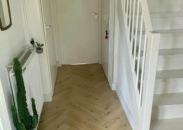 Exceptional Bright Double-floor House Panzió