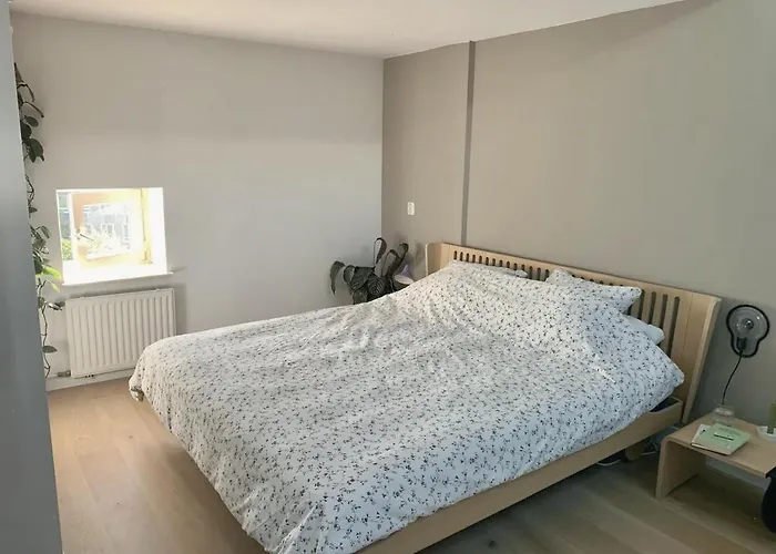 Exceptional Bright Double-floor House Panzió